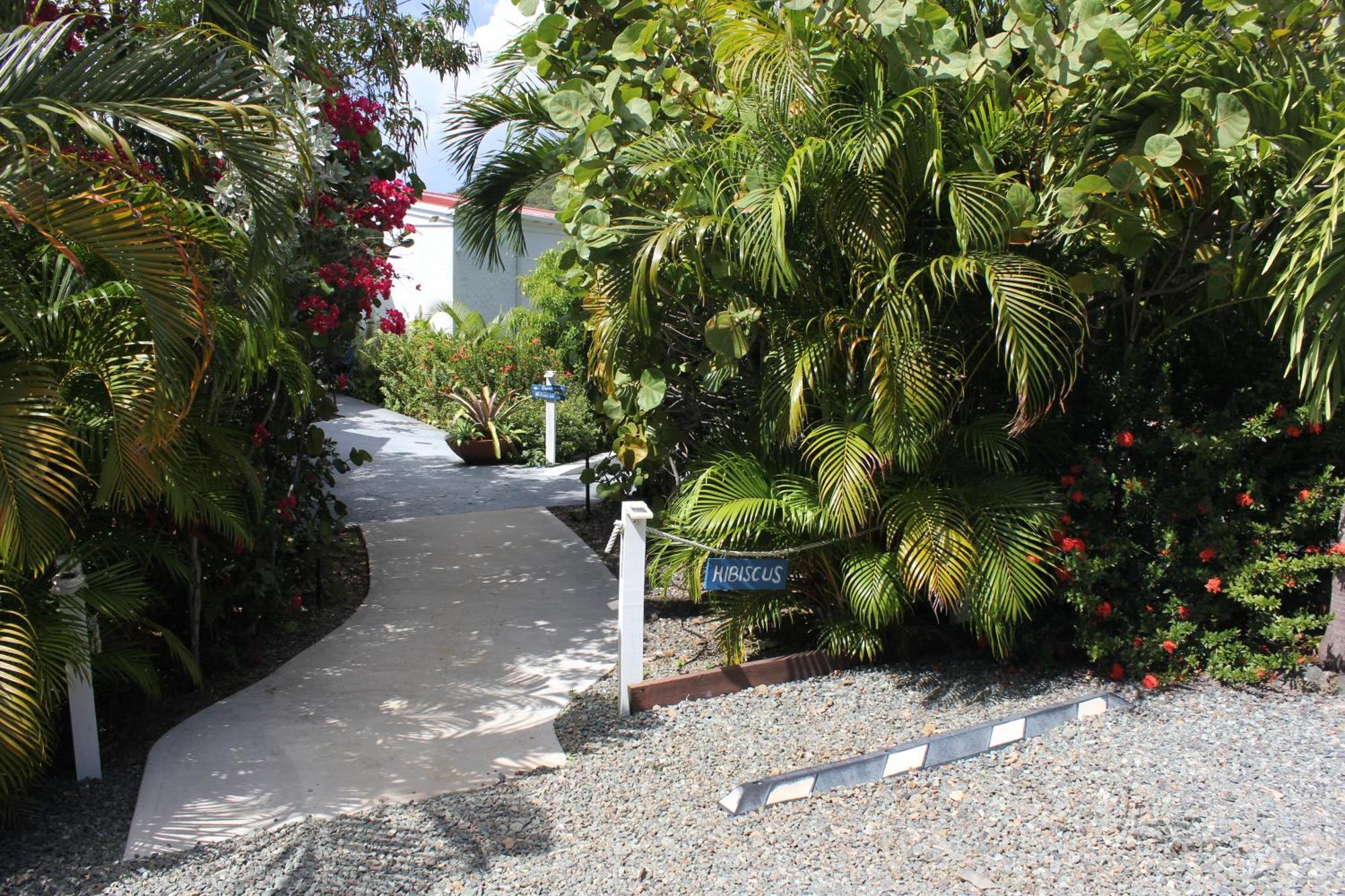 Beautiful Honeymoon Suite At Sunset Serenade Cruz Bay Exteriér fotografie